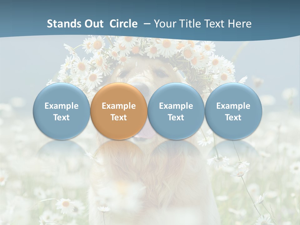 Single Lifestyle Sand PowerPoint Template