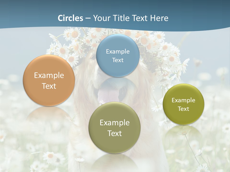 Single Lifestyle Sand PowerPoint Template