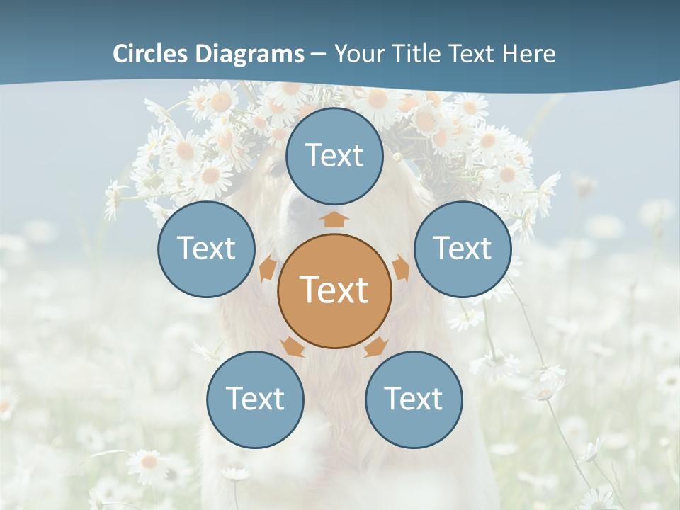 Single Lifestyle Sand PowerPoint Template