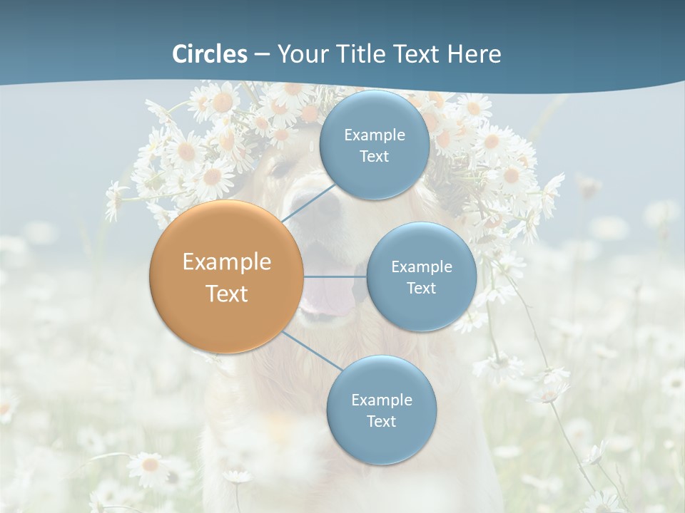 Single Lifestyle Sand PowerPoint Template