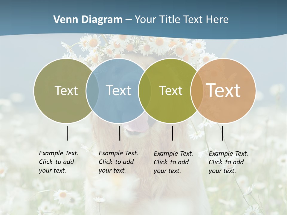 Single Lifestyle Sand PowerPoint Template