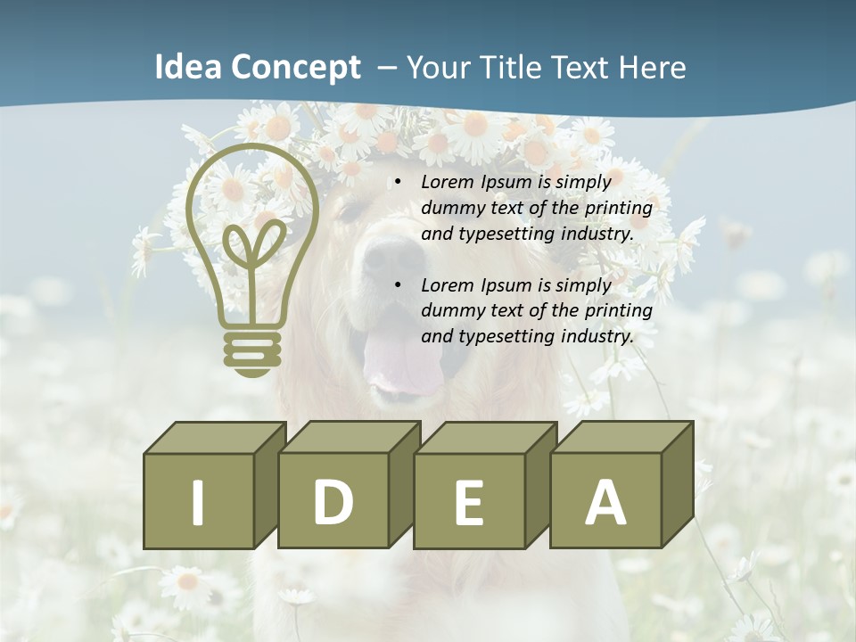 Single Lifestyle Sand PowerPoint Template