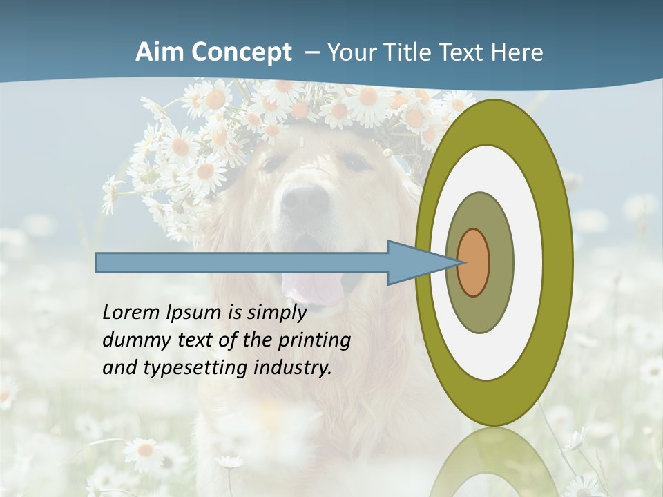 Single Lifestyle Sand PowerPoint Template