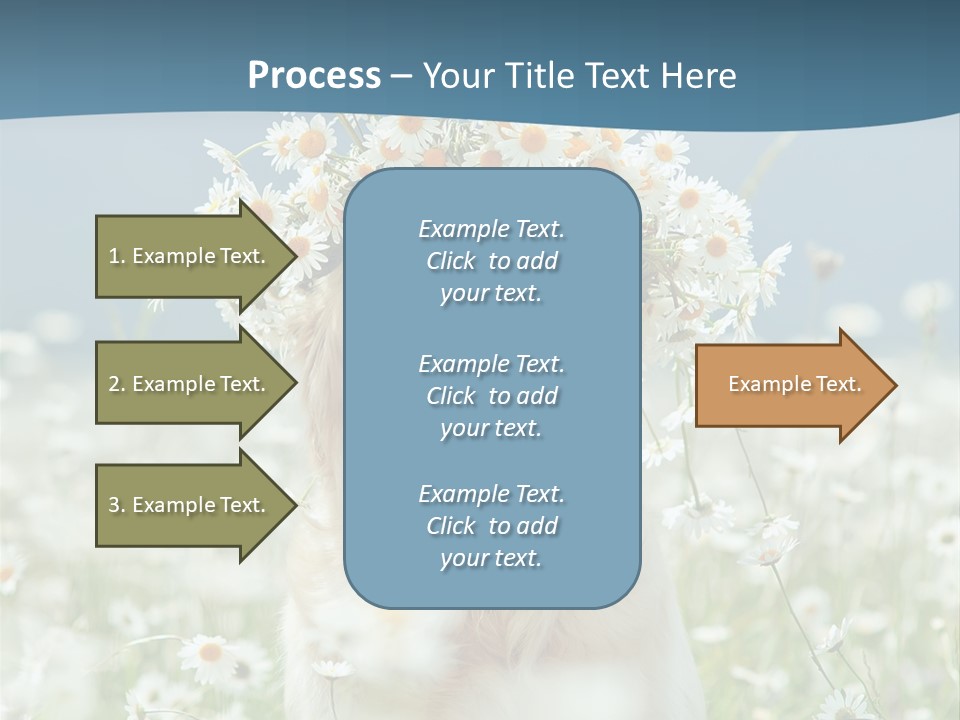 Single Lifestyle Sand PowerPoint Template