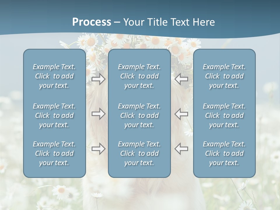 Single Lifestyle Sand PowerPoint Template