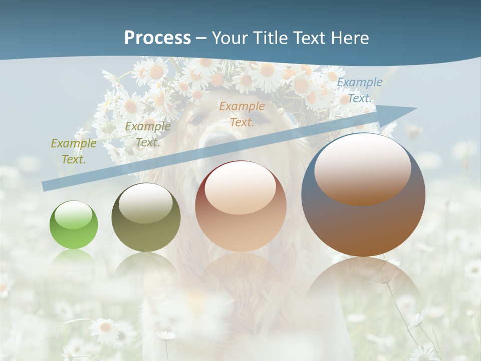 Single Lifestyle Sand PowerPoint Template