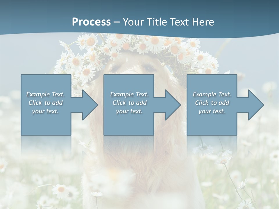 Single Lifestyle Sand PowerPoint Template
