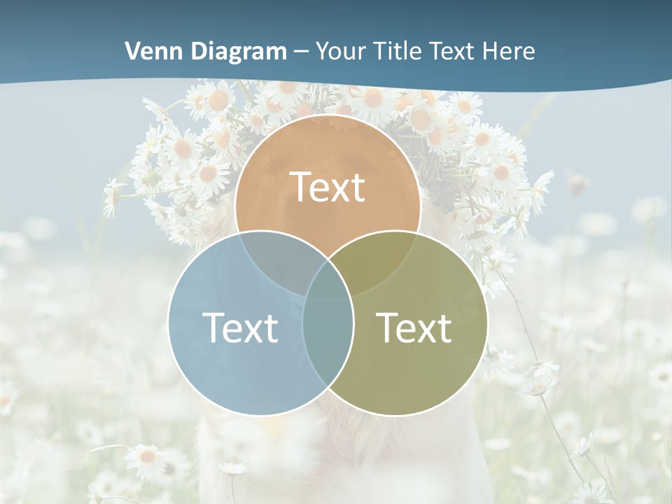 Single Lifestyle Sand PowerPoint Template