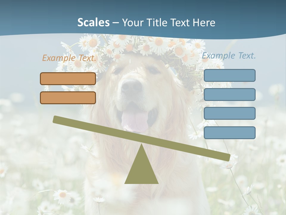 Single Lifestyle Sand PowerPoint Template