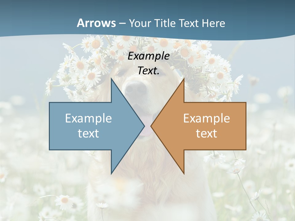 Single Lifestyle Sand PowerPoint Template