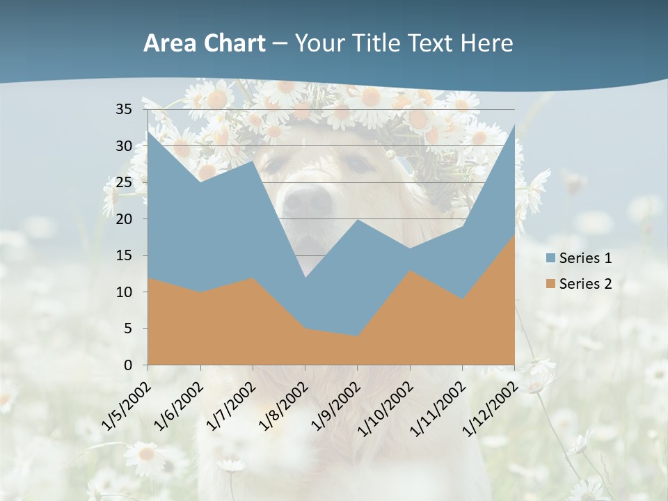 Single Lifestyle Sand PowerPoint Template