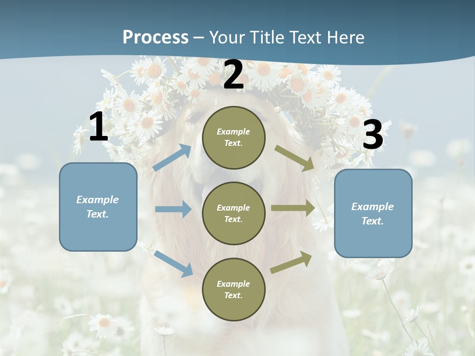 Single Lifestyle Sand PowerPoint Template