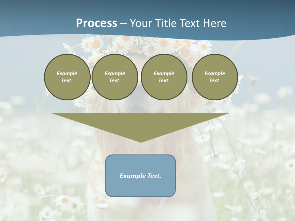 Single Lifestyle Sand PowerPoint Template