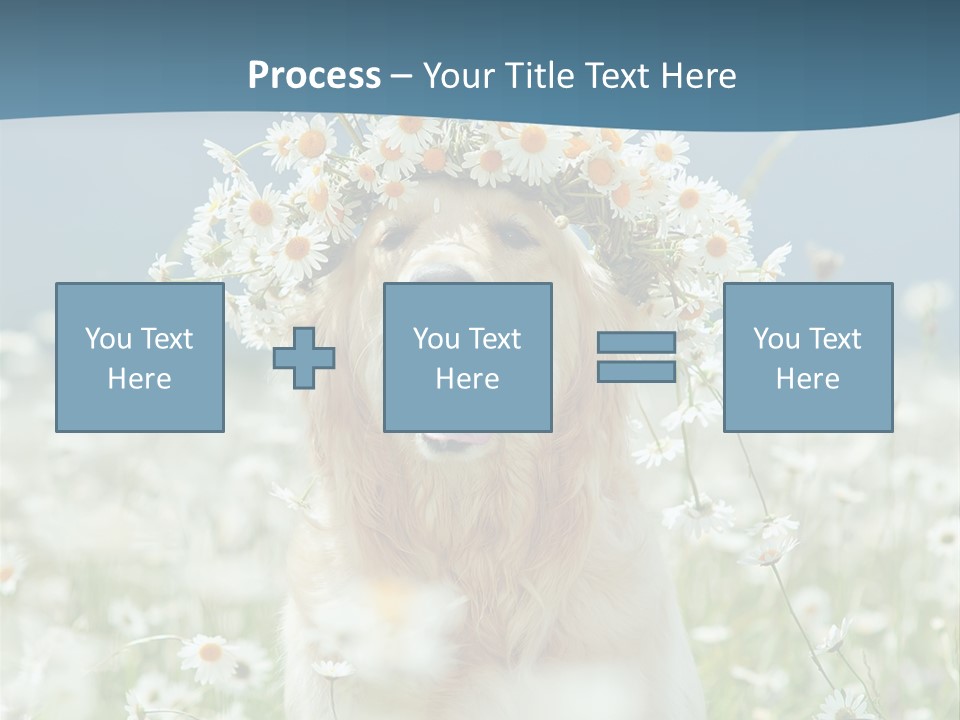 Single Lifestyle Sand PowerPoint Template