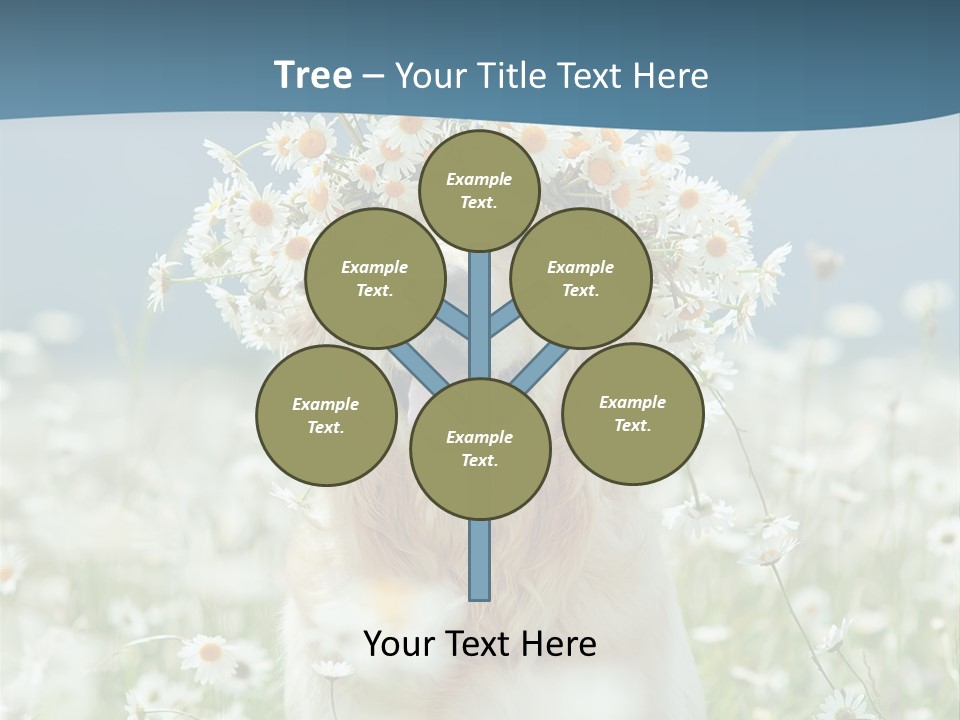 Single Lifestyle Sand PowerPoint Template