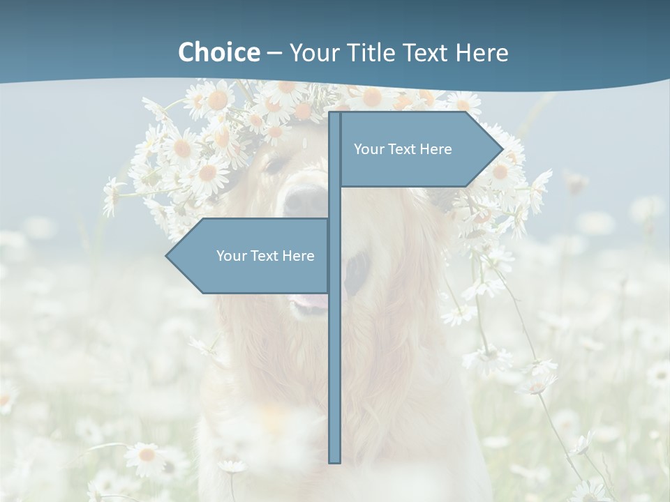 Single Lifestyle Sand PowerPoint Template