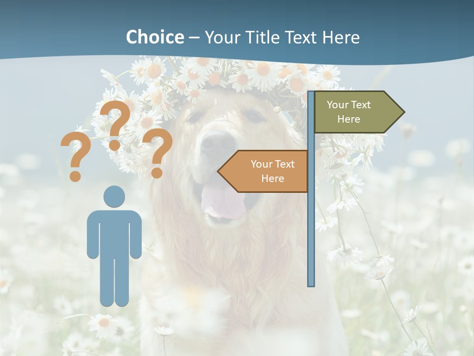 Single Lifestyle Sand PowerPoint Template