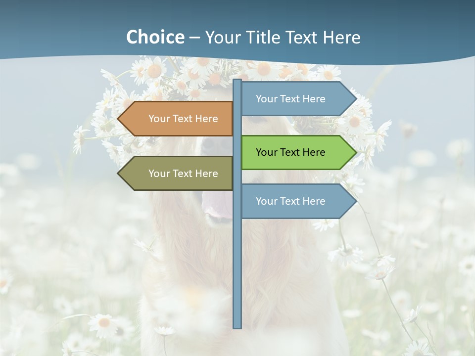 Single Lifestyle Sand PowerPoint Template