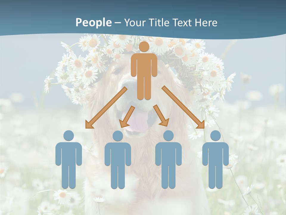 Single Lifestyle Sand PowerPoint Template