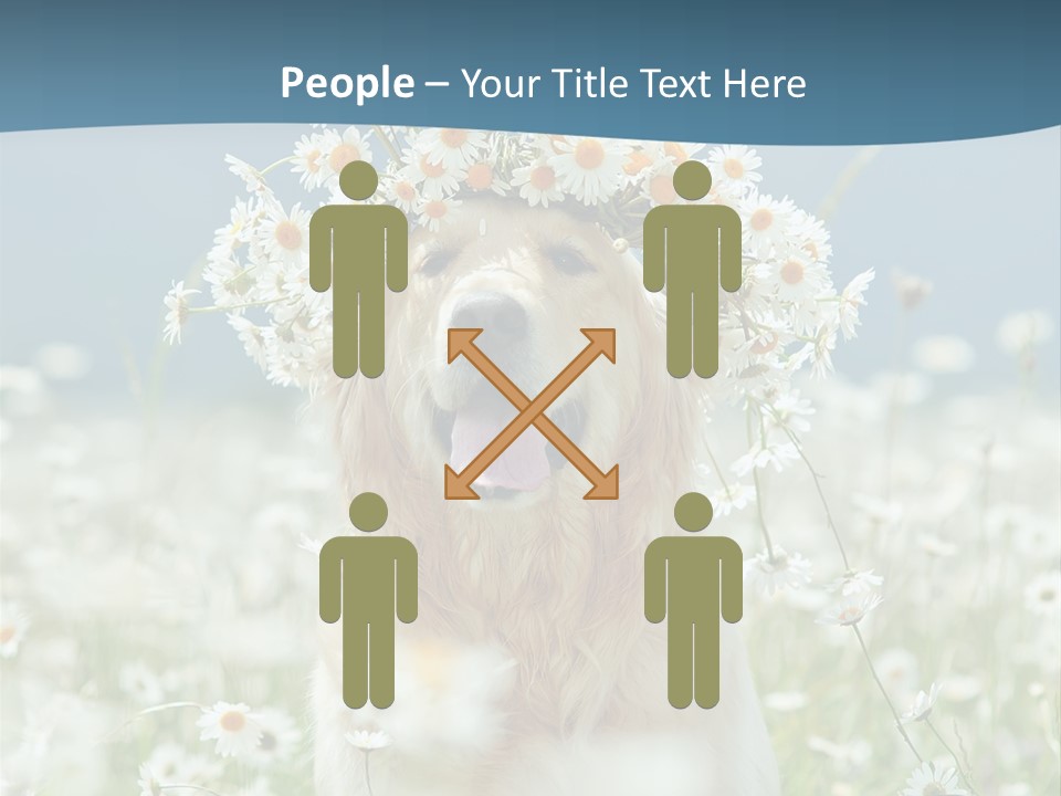 Single Lifestyle Sand PowerPoint Template