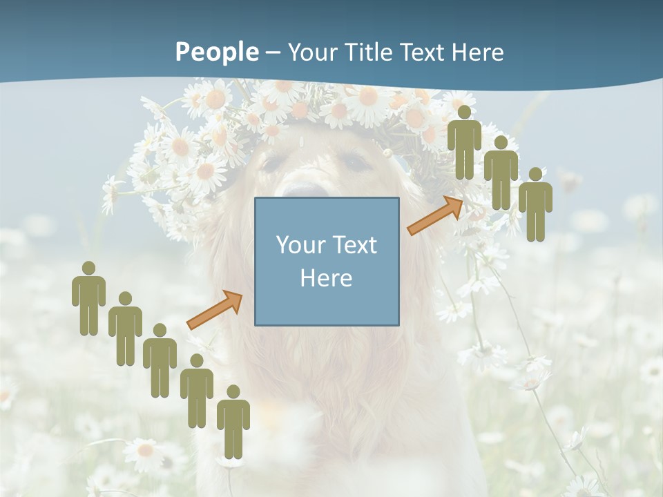 Single Lifestyle Sand PowerPoint Template