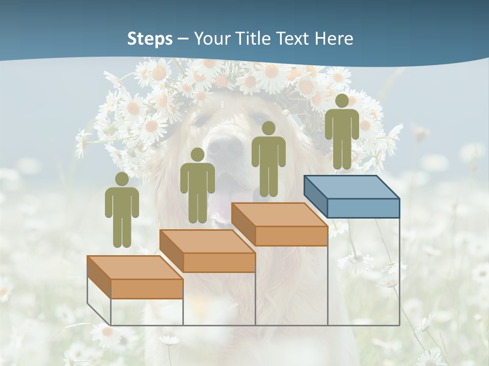 Single Lifestyle Sand PowerPoint Template