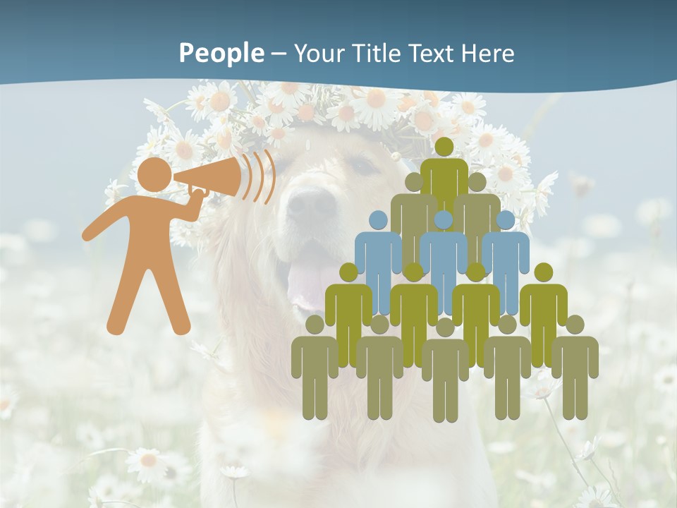 Single Lifestyle Sand PowerPoint Template