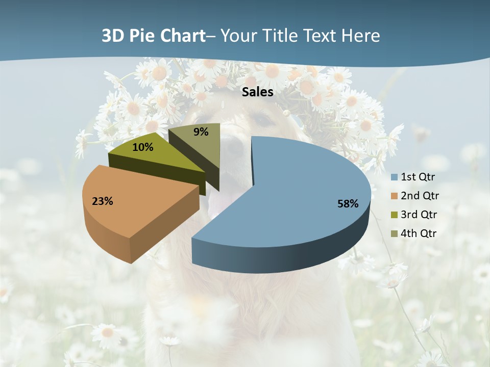 Single Lifestyle Sand PowerPoint Template