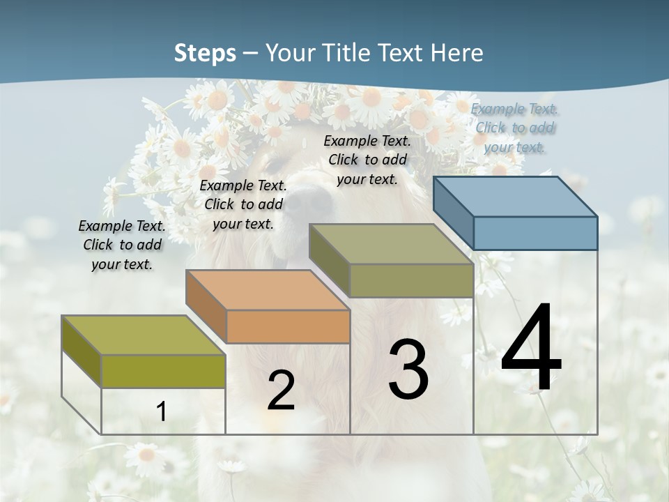 Single Lifestyle Sand PowerPoint Template