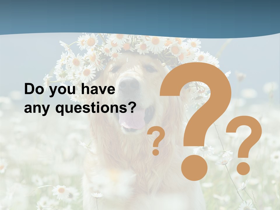 Single Lifestyle Sand PowerPoint Template