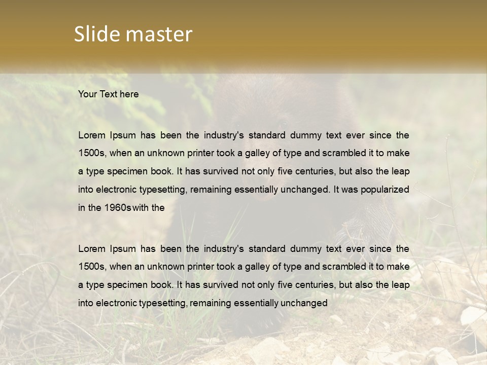 Older Sunrise White PowerPoint Template