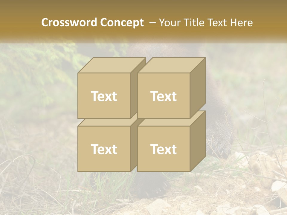 Older Sunrise White PowerPoint Template