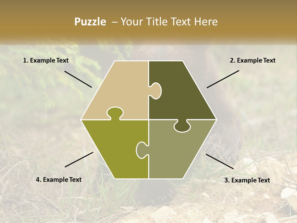 Older Sunrise White PowerPoint Template