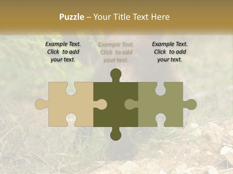 Older Sunrise White PowerPoint Template