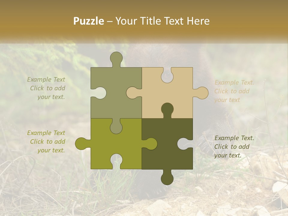 Older Sunrise White PowerPoint Template