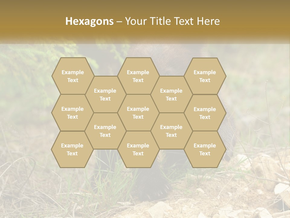 Older Sunrise White PowerPoint Template