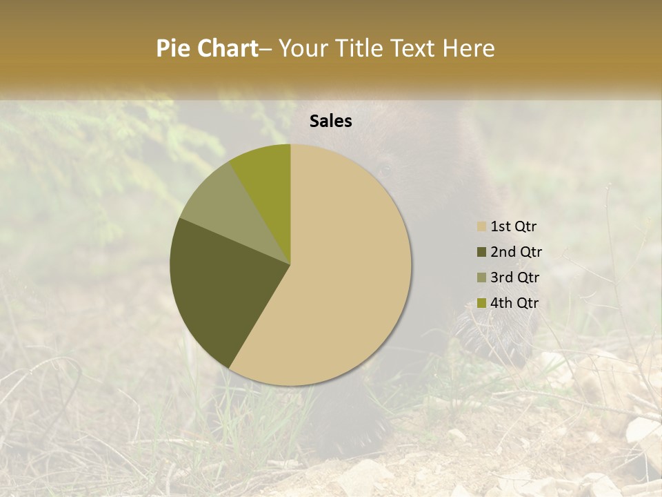 Older Sunrise White PowerPoint Template