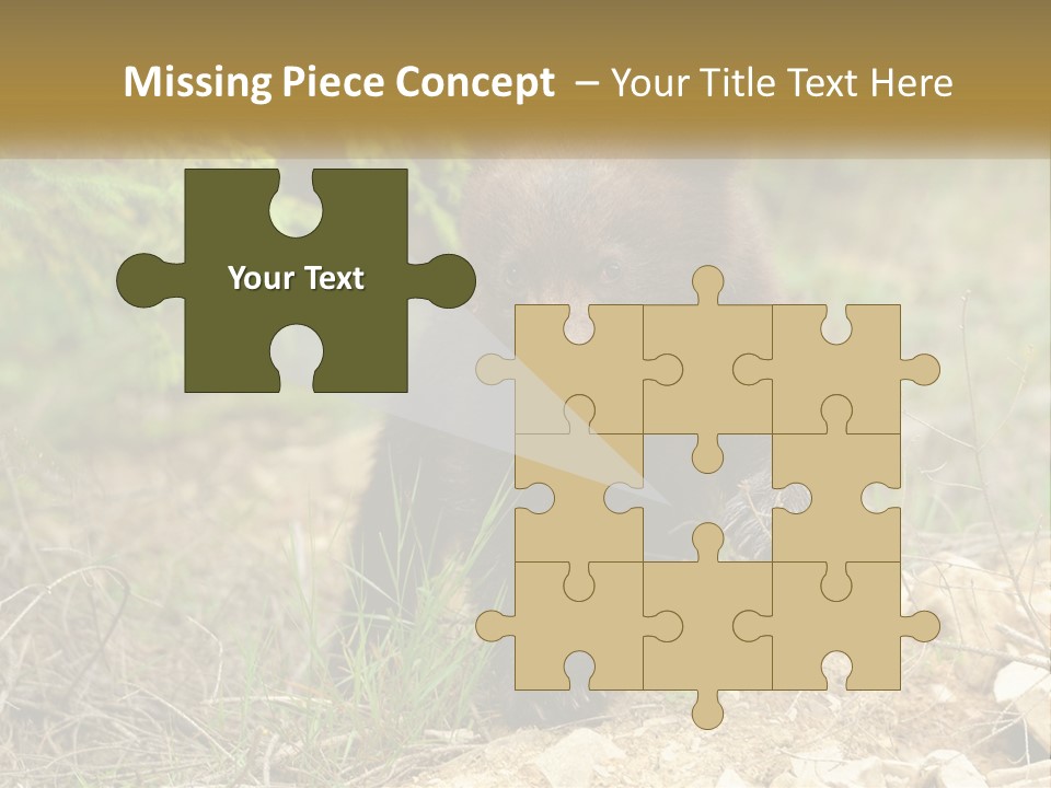 Older Sunrise White PowerPoint Template