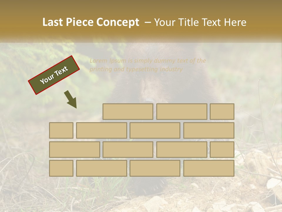 Older Sunrise White PowerPoint Template