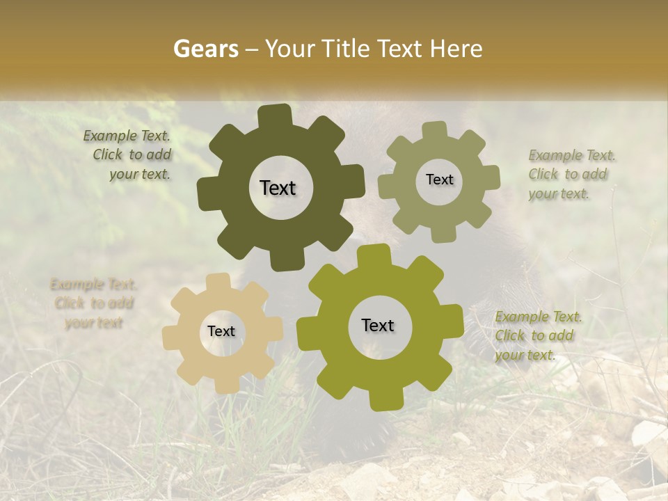 Older Sunrise White PowerPoint Template