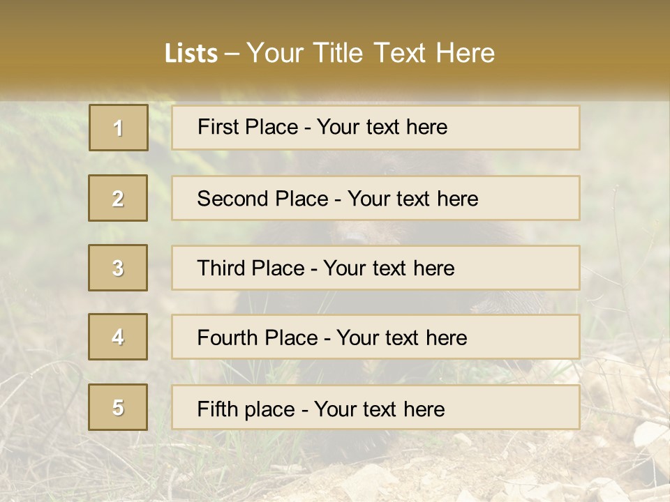 Older Sunrise White PowerPoint Template