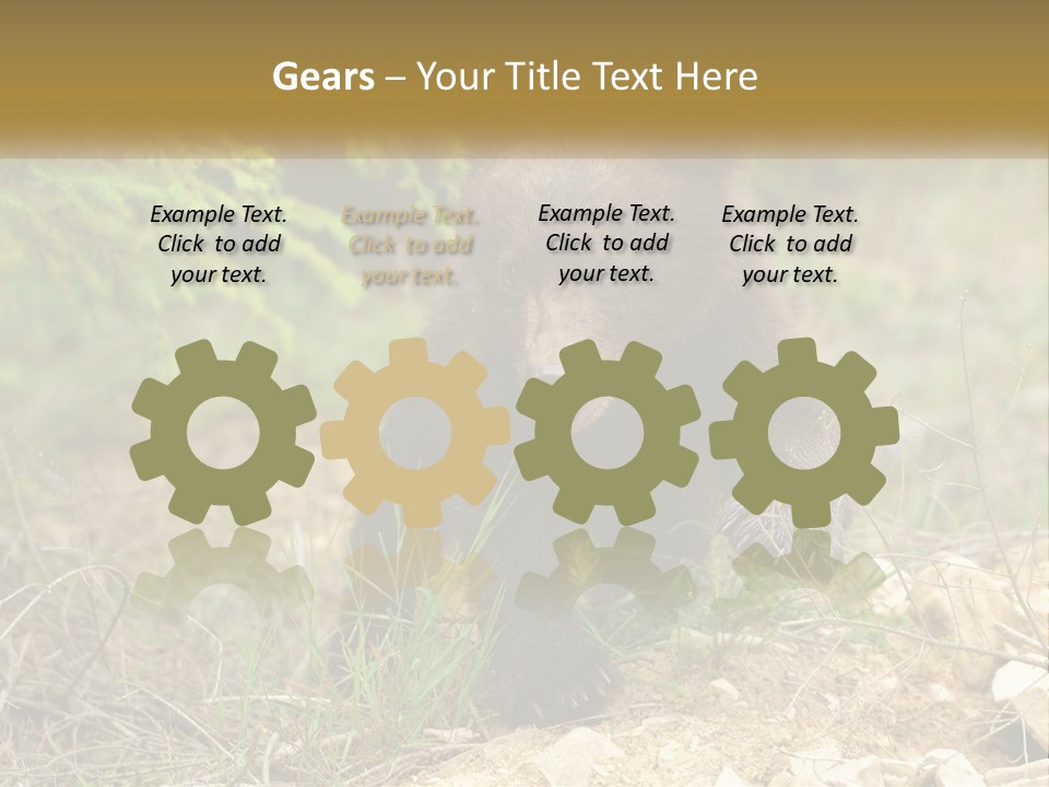 Older Sunrise White PowerPoint Template