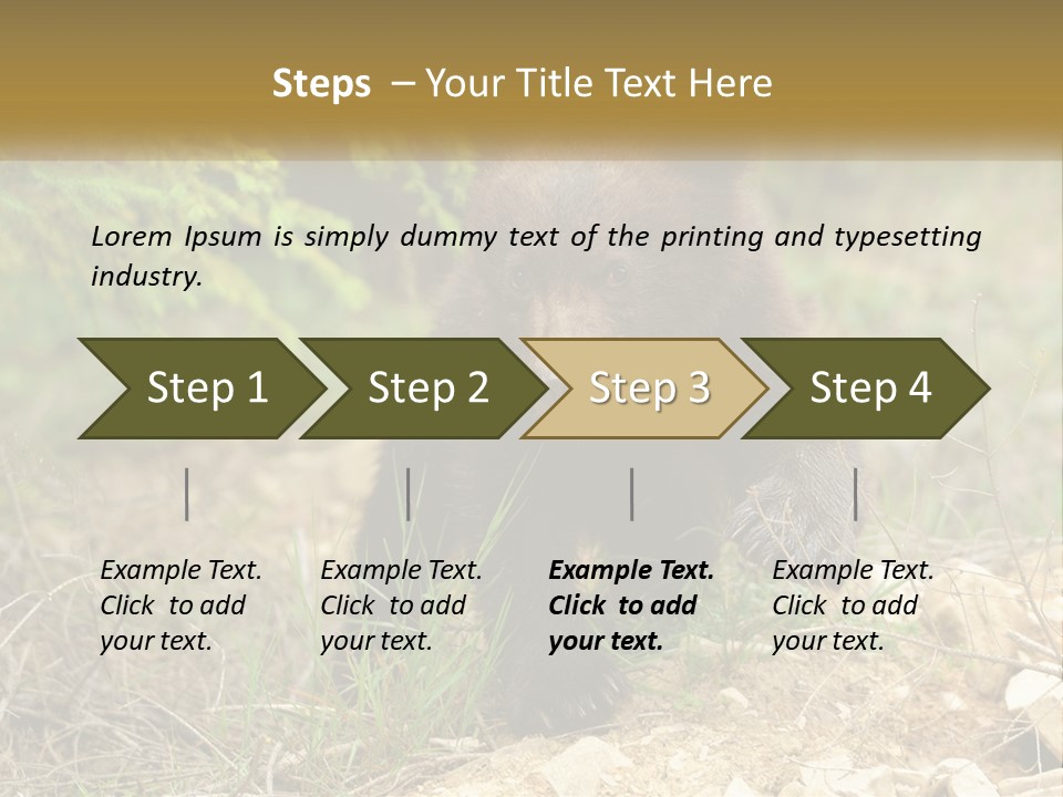 Older Sunrise White PowerPoint Template