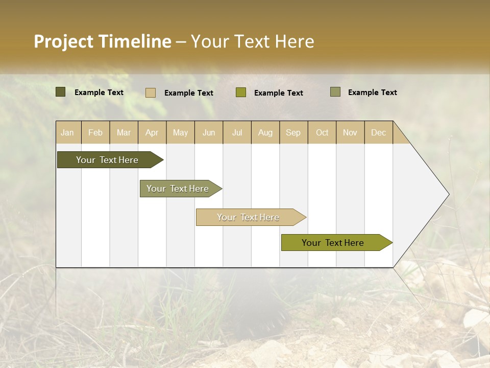 Older Sunrise White PowerPoint Template