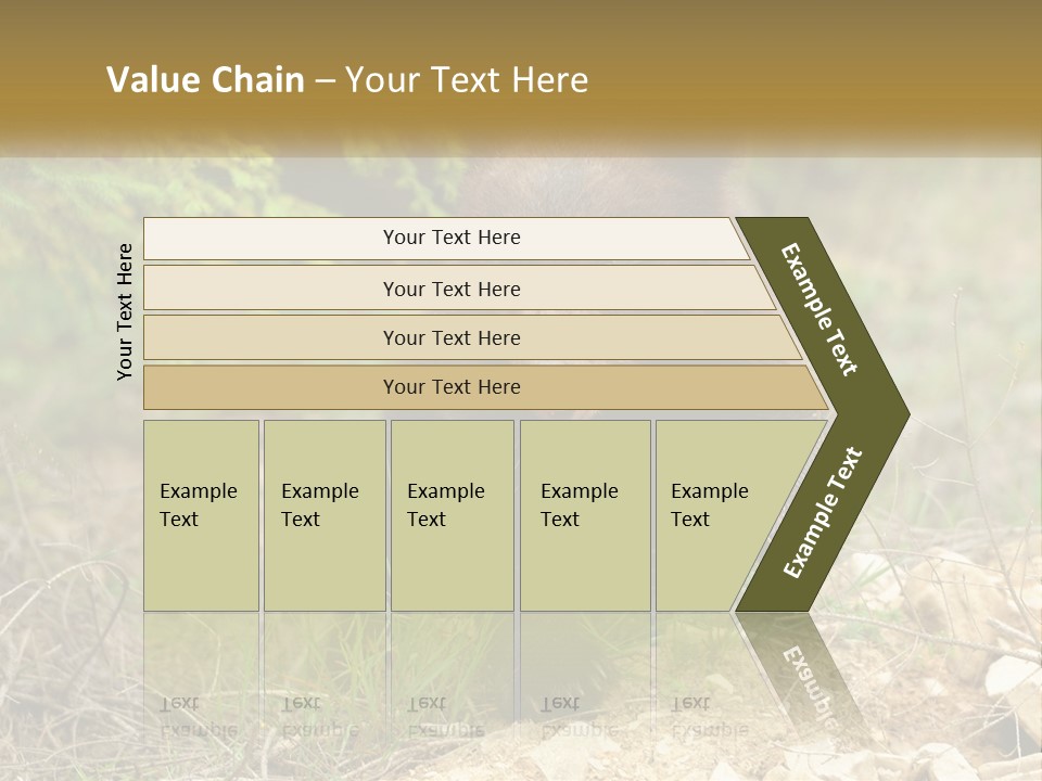 Older Sunrise White PowerPoint Template