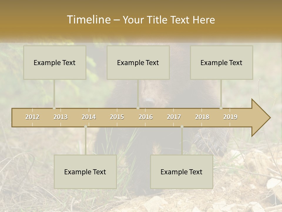 Older Sunrise White PowerPoint Template