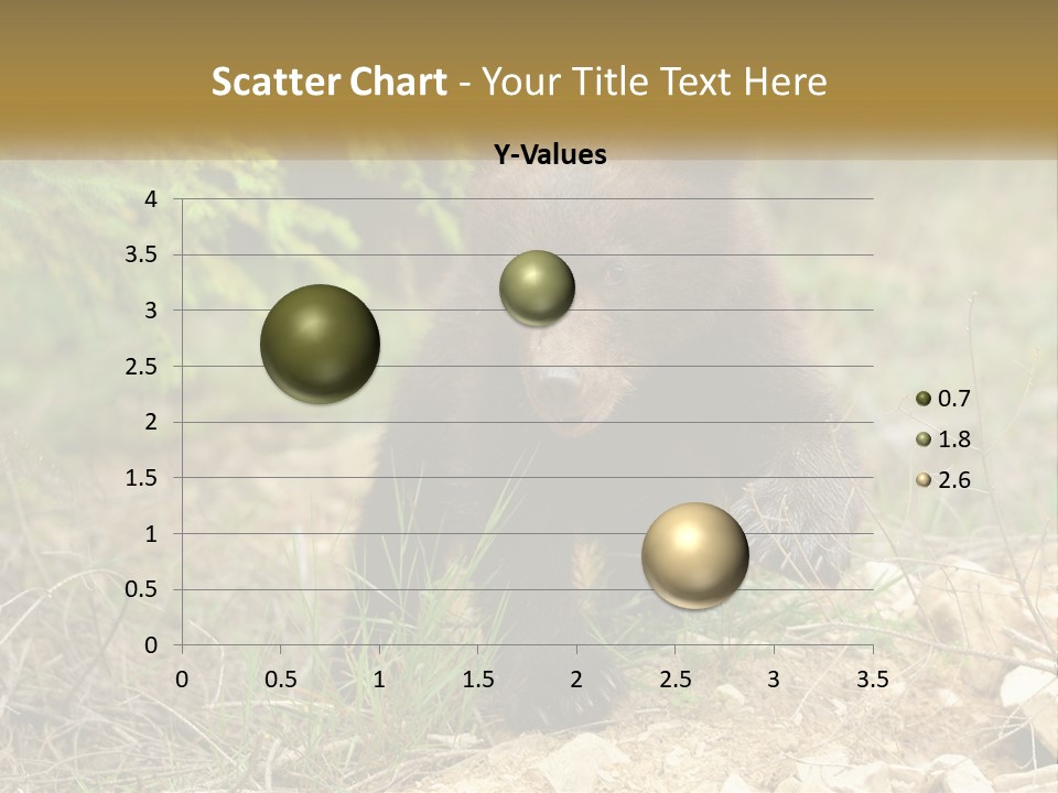 Older Sunrise White PowerPoint Template