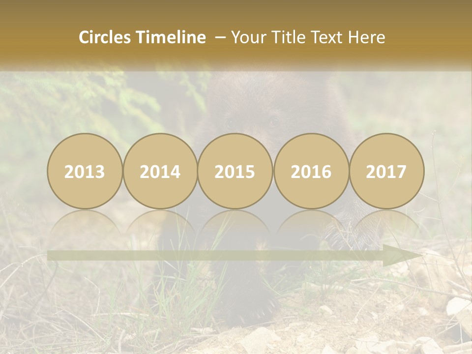 Older Sunrise White PowerPoint Template