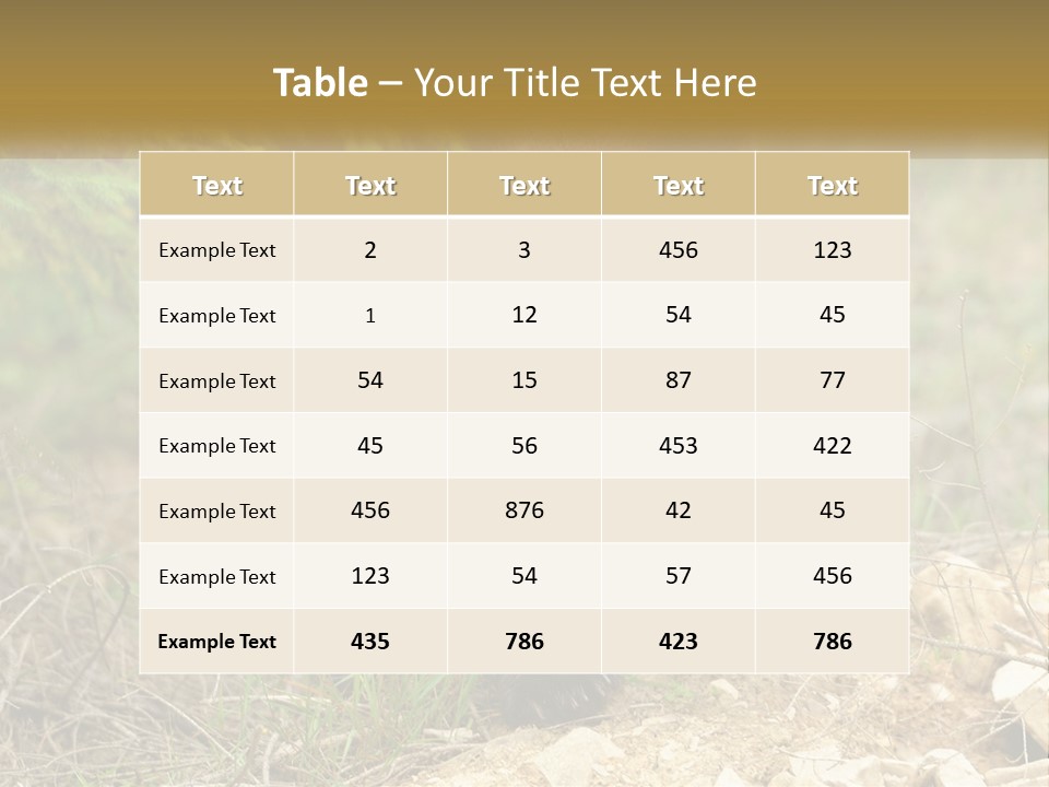 Older Sunrise White PowerPoint Template