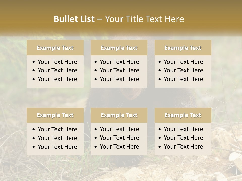 Older Sunrise White PowerPoint Template